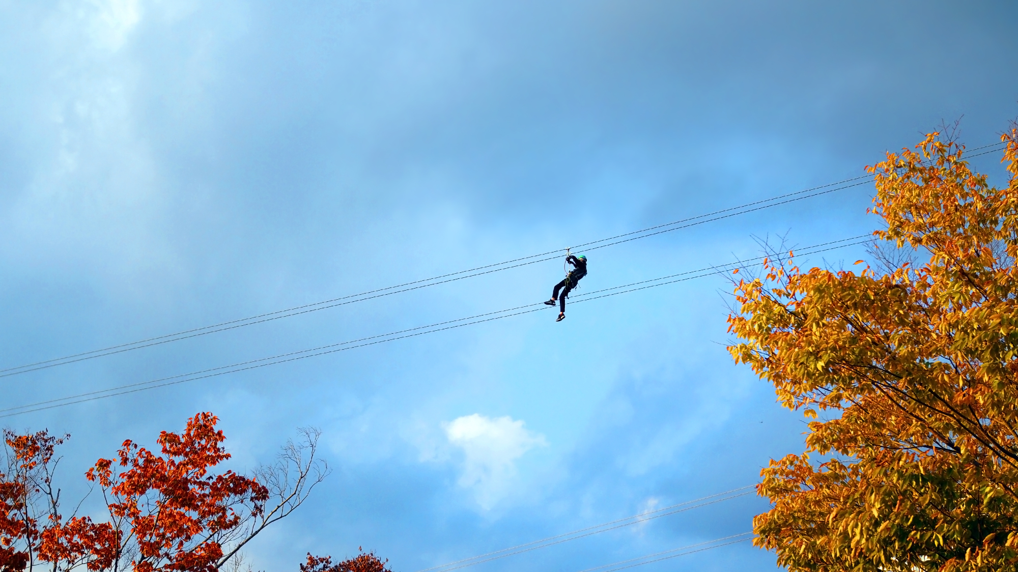 Zipline Bovec je nekaj zabavnega za otroke